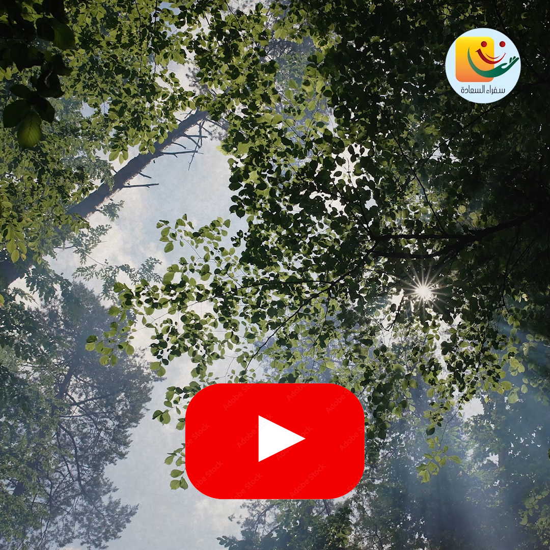 Happiness sleeps in your heart