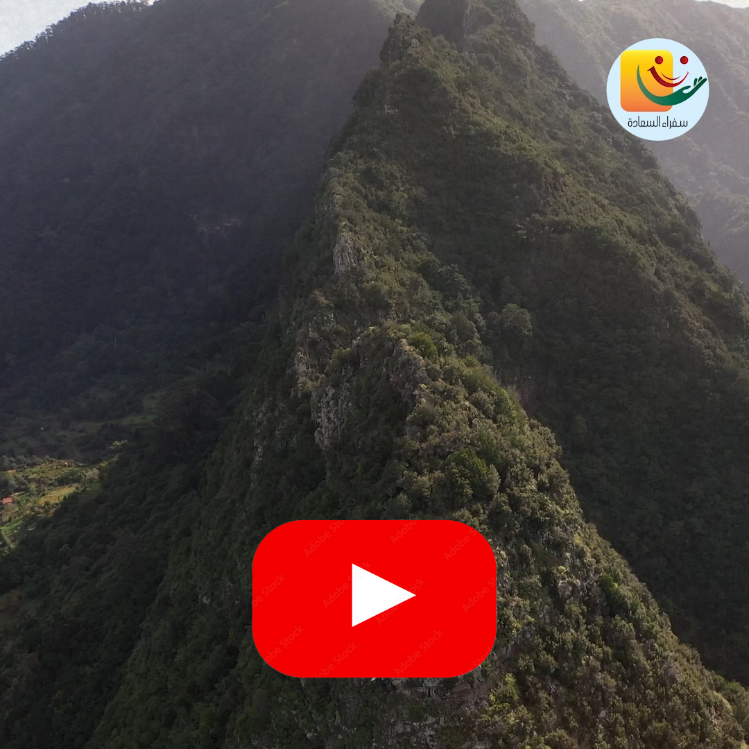 Embrace life with good intentions